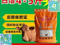 鹏博粮油贸易出售实用的全球农产品网牛饲料--全球农产品网价位_艾特贸易网提供展示